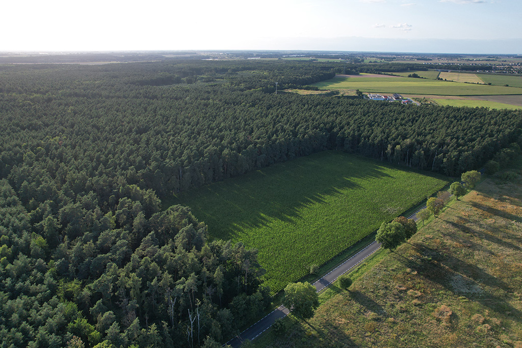 Innowacyjne przepisy budowlane wprowadzane od 2026 roku: Co musisz wiedzieć?