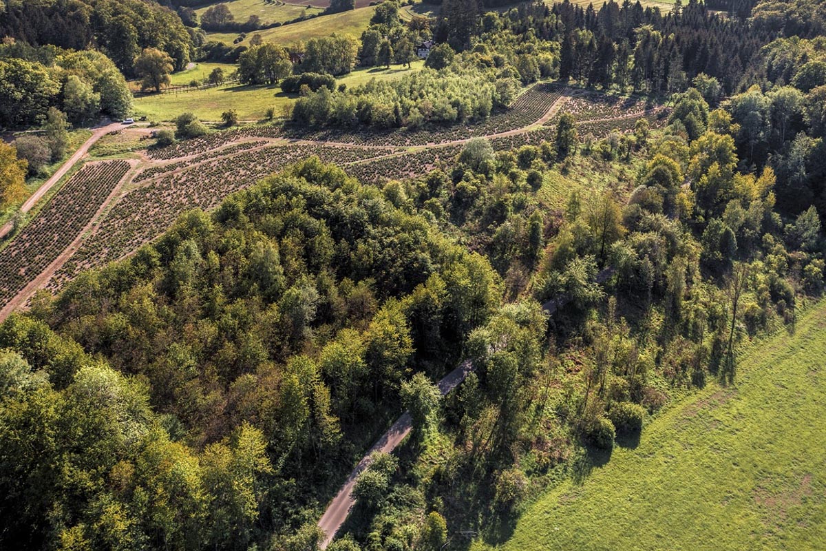 Plan ogólny gminy a brak roszczeń odszkodowawczych za utratę możliwości zabudowy