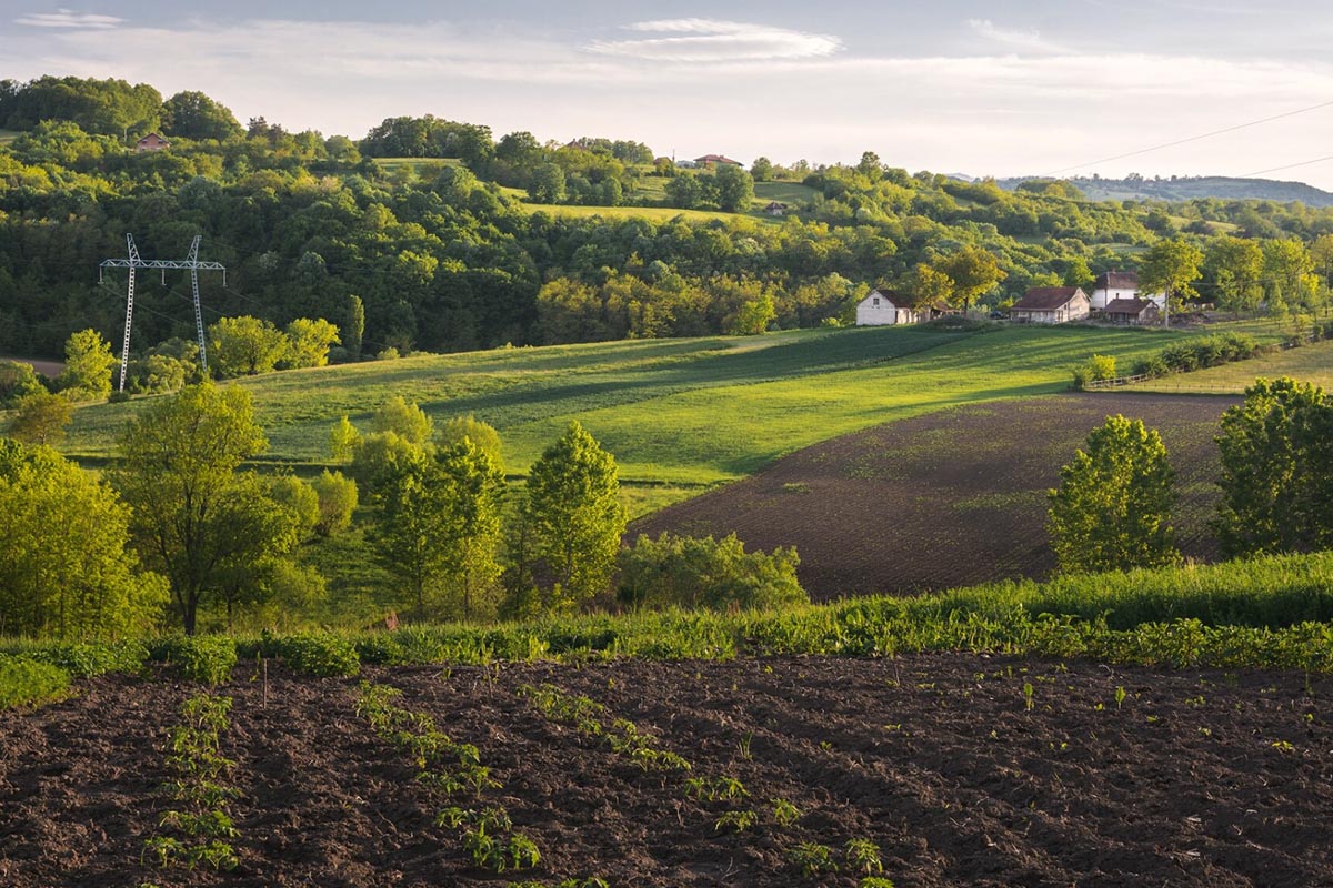 Teledetekcja jako narzędzie nowoczesnego zarządzania zasobem własności rolniej skarbu państwa
