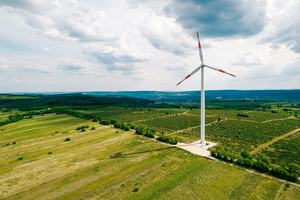 Narzucanie farm wiatrowych w lesie narusza prawo, twierdzi NIK