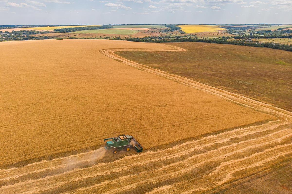 Czy nowe plany ogólne zatrzymają budowę domów na wsi