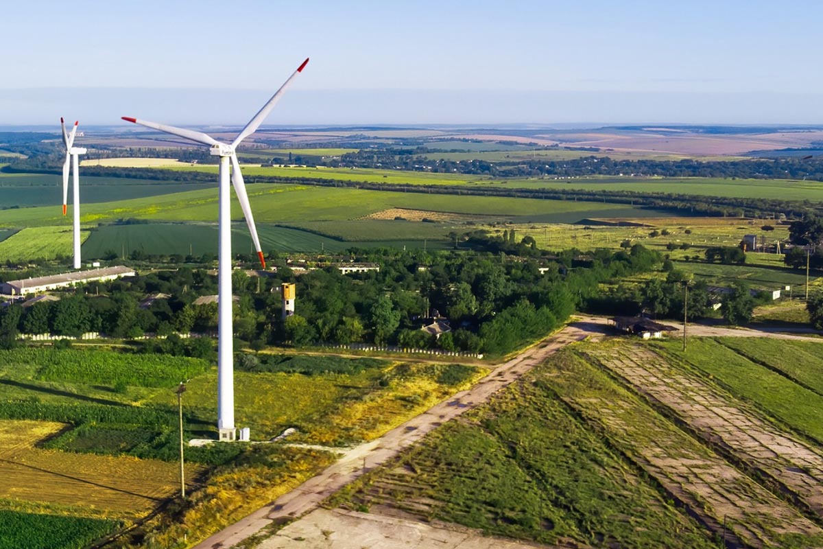 Energia z wiatru nad lasami państwowymi jako krok w stronę zielonej transformacji