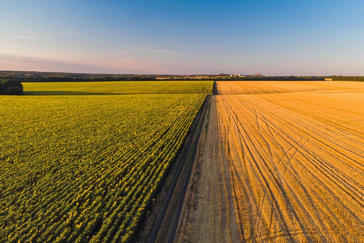 Jak plany ogólne gminy mogą wpłynąć na rozwój gospodarstw rolnych
