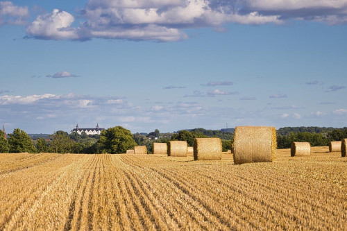 Różnice między odrolnieniem działki a wyłączeniem jej z produkcji rolnej