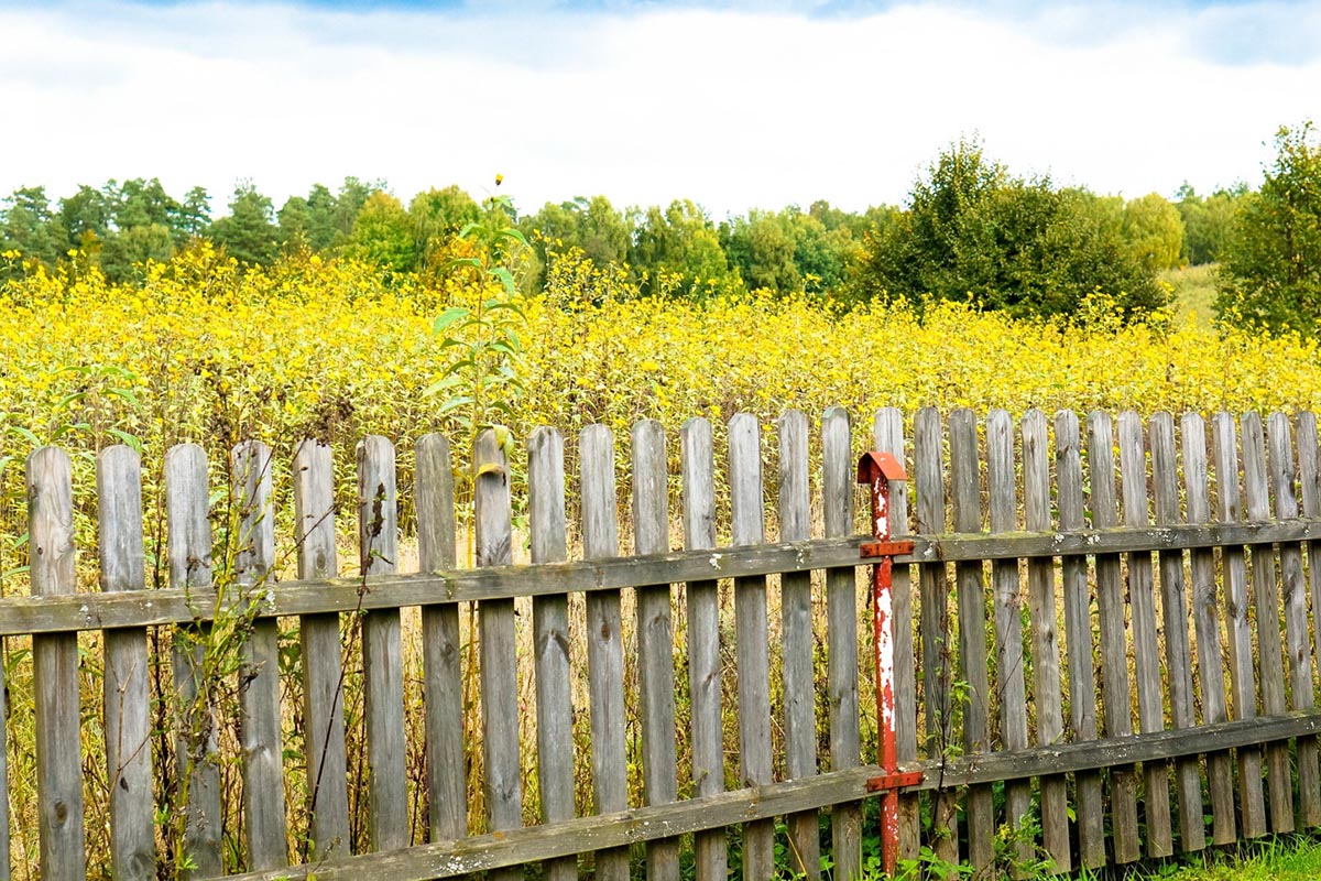 Podatek od ogrodzeń a reakcja ministerstwa finansów – co naprawdę grozi właścicielom posesji