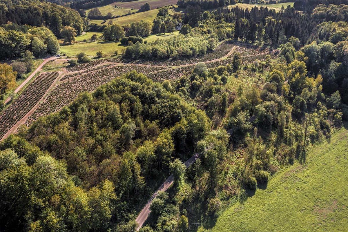 Dlaczego warto wystąpić o warunki zabudowy na działkę, zanim przepisy się zmienią
