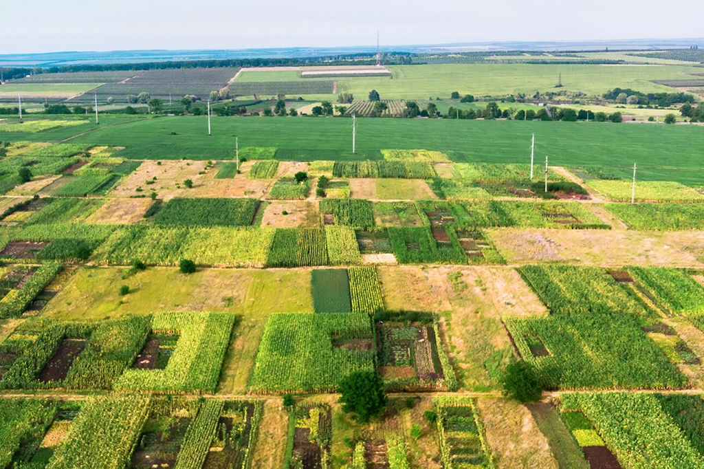 Gmina staje w miejscu: kolejny projekt planu ogólnego uchylony
