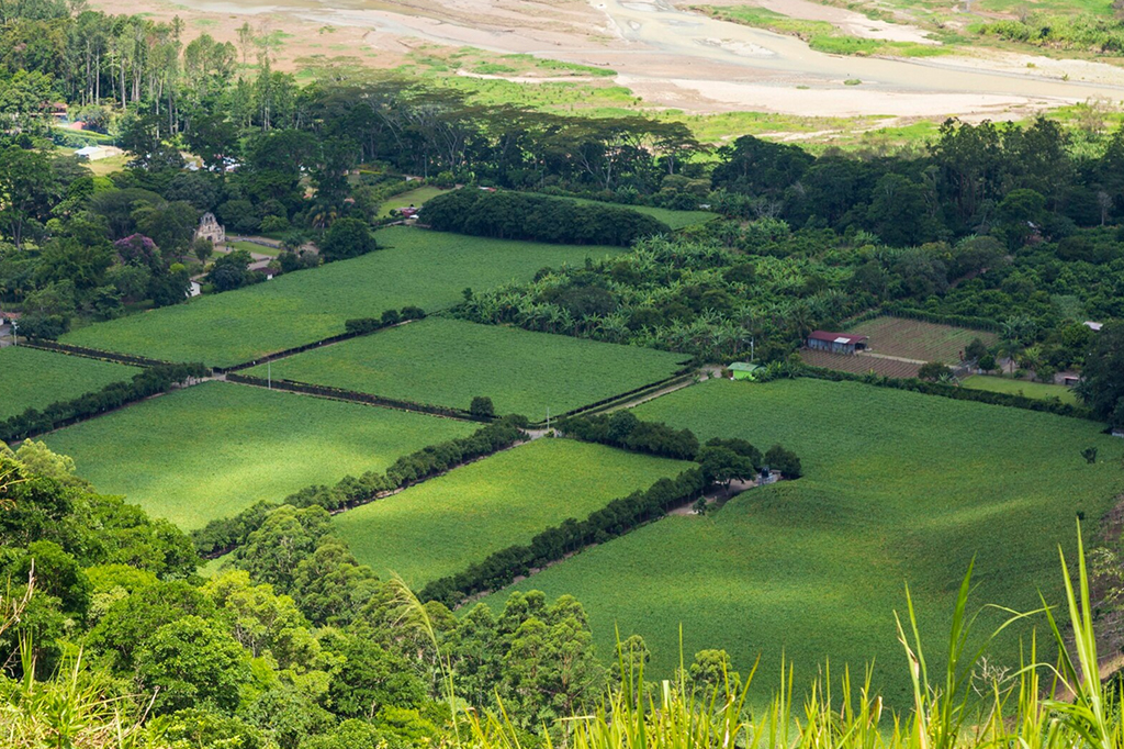 Czy czekają nas zmiany w prawie regulującym planowanie przestrzenne?