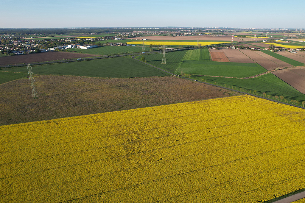 Jak prawidłowo przeprowadzić budowę na granicy działki?