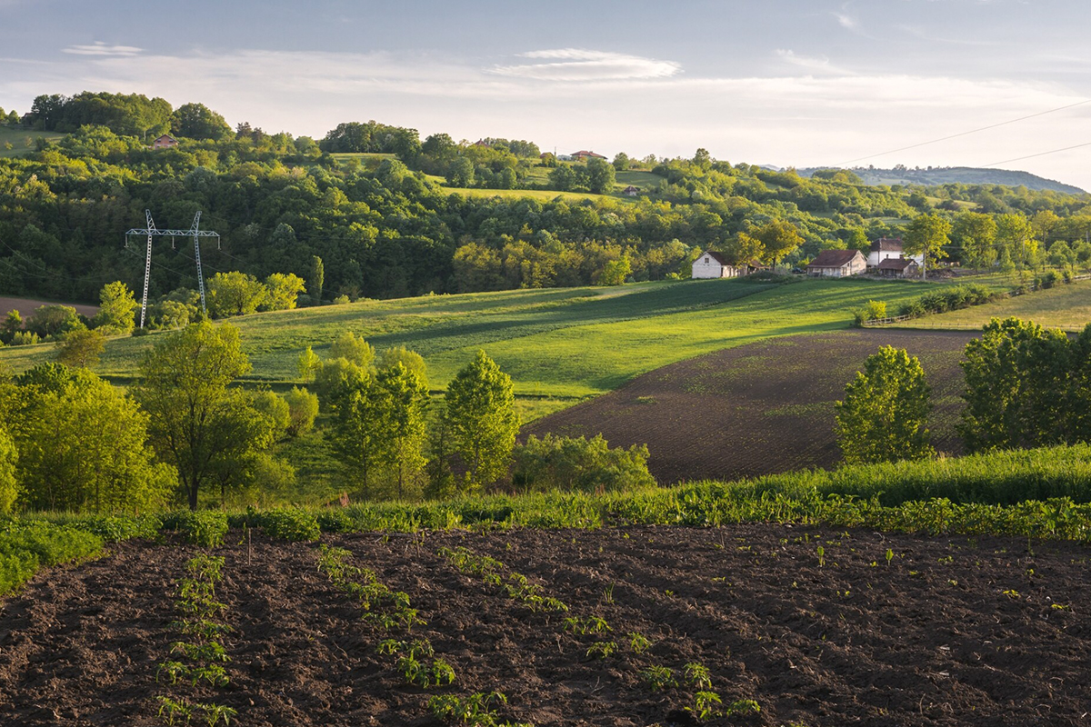 Porządkowanie struktury gruntów poprzez scalanie i wymianę działek
