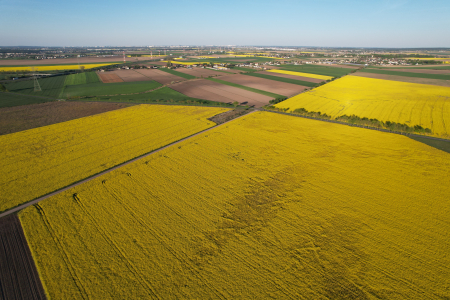 Działki w Polsce Wschodniej: Ryzyko przy granicy czy inwestycyjna okazja dekady - analiza rynku lokalnego