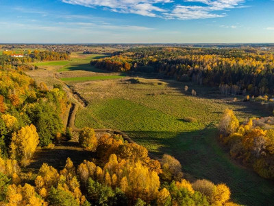 Na sprzedaż działka rolna - Spręcowo -
warmińsko-mazurskie Zdjęcie nr 3