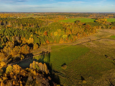 Na sprzedaż działka rolna - Spręcowo -
warmińsko-mazurskie Zdjęcie nr 6