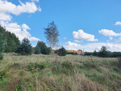 Na sprzedaż działka budowlana - Pełczyn -
dolnośląskie Zdjęcie nr 3