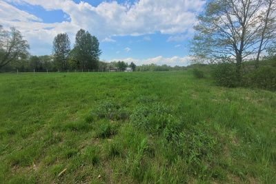 Działka budowlana w centrum Dominikowic (woj.małopolskie) -
małopolskie Zdjęcie nr 2