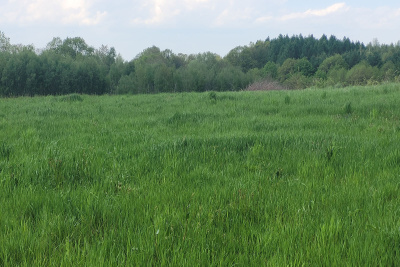 Działka budowlana w centrum Dominikowic (woj.małopolskie) -
małopolskie Zdjęcie nr 3