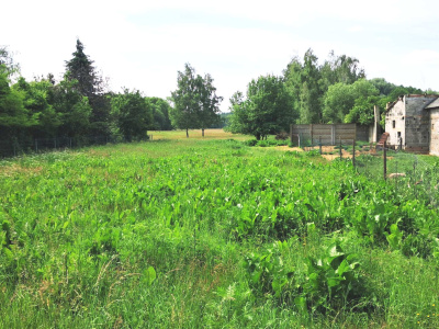 Sprzedam dużą działkę budowlano-rolną przy lesie. -
mazowieckie Zdjęcie nr 2
