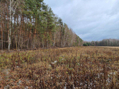 Na sprzedaż działka rolna - Piskórka -
mazowieckie Zdjęcie nr 3