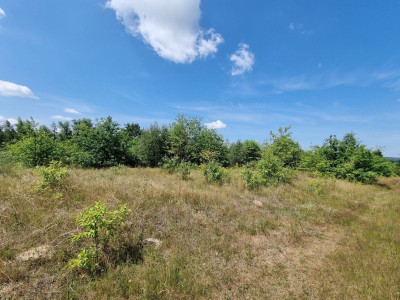 Na sprzedaż działka inwestycyjna - Rawa Mazowiecka -
łódzkie Zdjęcie nr 3