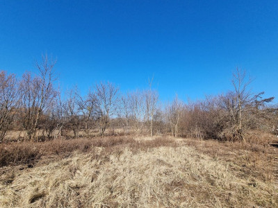 Na sprzedaż działka budowlana - Brwinów -
mazowieckie Zdjęcie nr 3