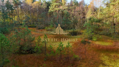 2Urokliwe działki Blisko jeziora Inwestycja Kamień - Kamień  -
POMORSKIE Zdjęcie nr 6