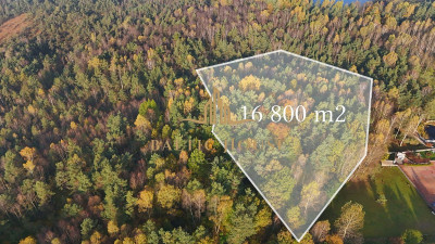 2Urokliwe działki Blisko jeziora Inwestycja Kamień - Kamień  -
POMORSKIE Zdjęcie nr 9