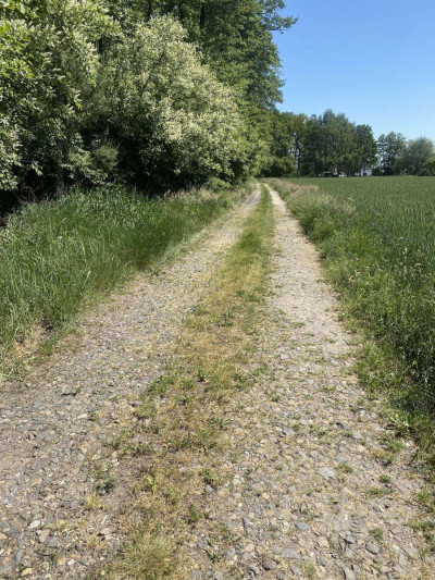 Na sprzedaż działka budowlana - Dąbcze -
wielkopolskie Zdjęcie nr 6