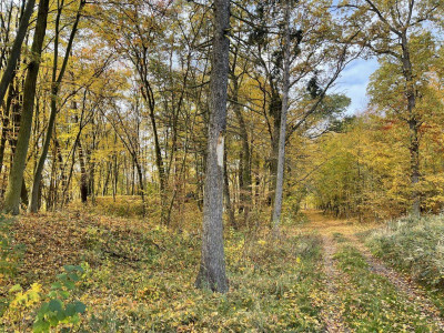 Na sprzedaż działka budowlana - Leszno -
wielkopolskie Zdjęcie nr 11