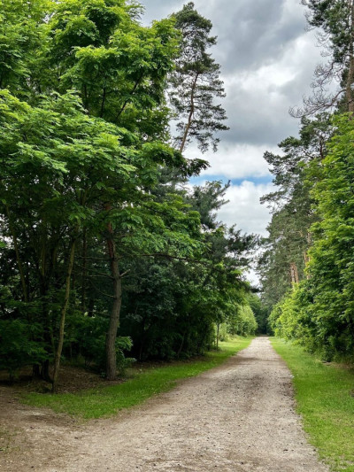 Na sprzedaż działka budowlana - Zakrzewo -
wielkopolskie Zdjęcie nr 12