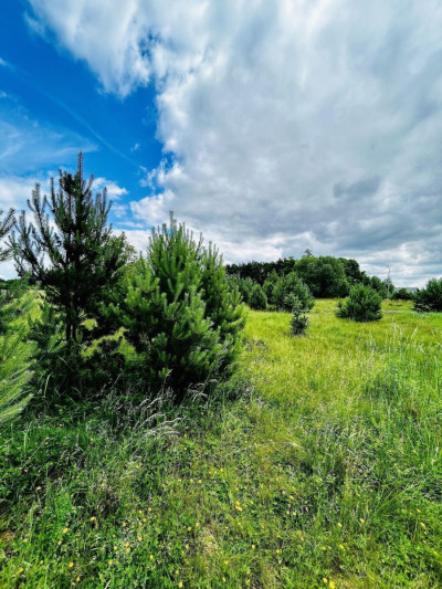 Na sprzedaż działka budowlana - Zakrzewo -
wielkopolskie Zdjęcie nr 6