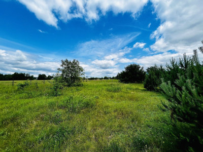 Na sprzedaż działka budowlana - Zakrzewo -
wielkopolskie Zdjęcie nr 7