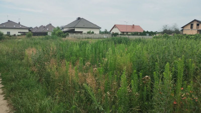 Na sprzedaż działka budowlana - Leszno -
wielkopolskie Zdjęcie nr 2