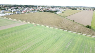 Na sprzedaż działka budowlana - Leszno -
wielkopolskie Zdjęcie nr 3