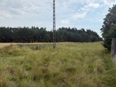 Na sprzedaż działka przemysłowa - Leszno -
wielkopolskie Zdjęcie nr 3