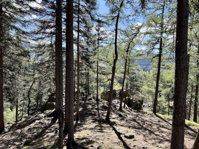 Na sprzedaż działka budowlana - Karpacz -
dolnośląskie Zdjęcie nr 11