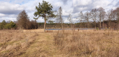 Na sprzedaż działka budowlana - Miłuki - warmińsko-mazurskie