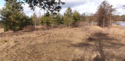 Na sprzedaż działka budowlana - Miłuki -
warmińsko-mazurskie Zdjęcie nr 7