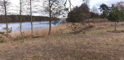 Na sprzedaż działka budowlana - Miłuki -
warmińsko-mazurskie Zdjęcie nr 8