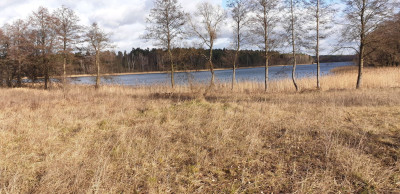 Na sprzedaż działka budowlana - Miłuki -
warmińsko-mazurskie Zdjęcie nr 3