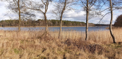 Na sprzedaż działka budowlana - Miłuki -
warmińsko-mazurskie Zdjęcie nr 4