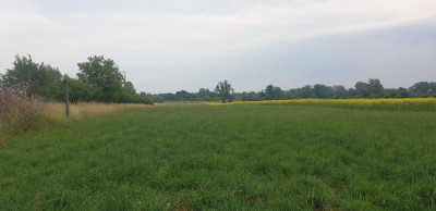 Na sprzedaż działka budowlana - Cząstków Mazowiecki -
mazowieckie