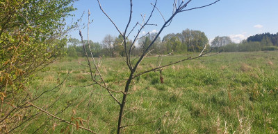 Na sprzedaż działka budowlana - Józefów -
mazowieckie Zdjęcie nr 5