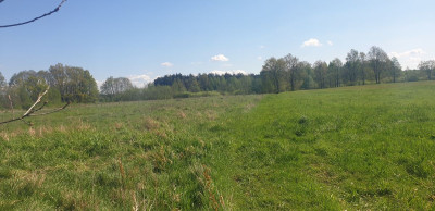 Na sprzedaż działka budowlana - Józefów -
mazowieckie Zdjęcie nr 6