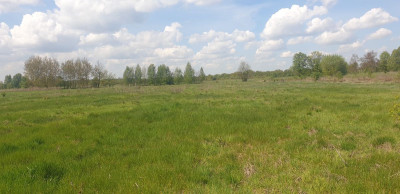 Na sprzedaż działka budowlana - Józefów -
mazowieckie Zdjęcie nr 7