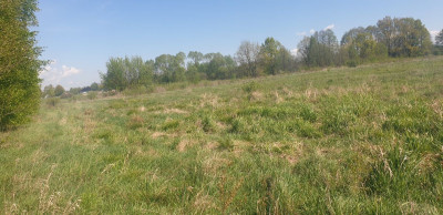 Na sprzedaż działka budowlana - Józefów -
mazowieckie Zdjęcie nr 9