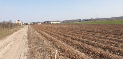 Na sprzedaż działka budowlana - Michalczew - mazowieckie