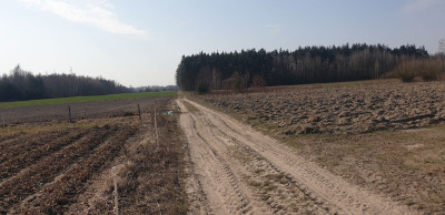 Na sprzedaż działka budowlana - Michalczew -
mazowieckie Zdjęcie nr 3