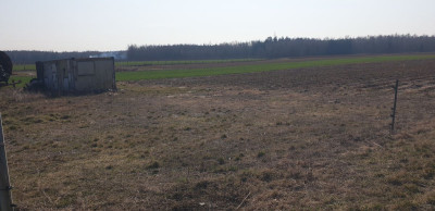 Na sprzedaż działka budowlana - Michalczew -
mazowieckie Zdjęcie nr 6