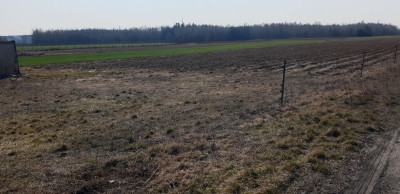 Na sprzedaż działka budowlana - Michalczew -
mazowieckie Zdjęcie nr 8