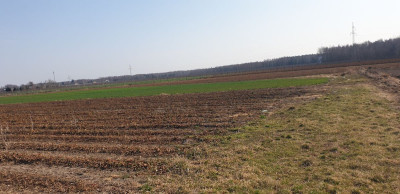 Na sprzedaż działka budowlana - Michalczew -
mazowieckie Zdjęcie nr 9